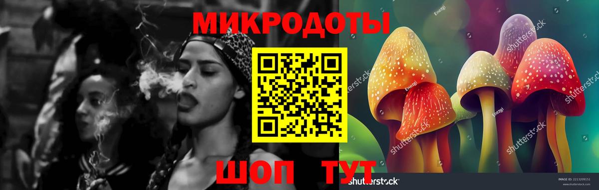 закладки  Галлюциногенные грибы MAGIC MUSHROOMS  Вход с VPN  Сарапул 